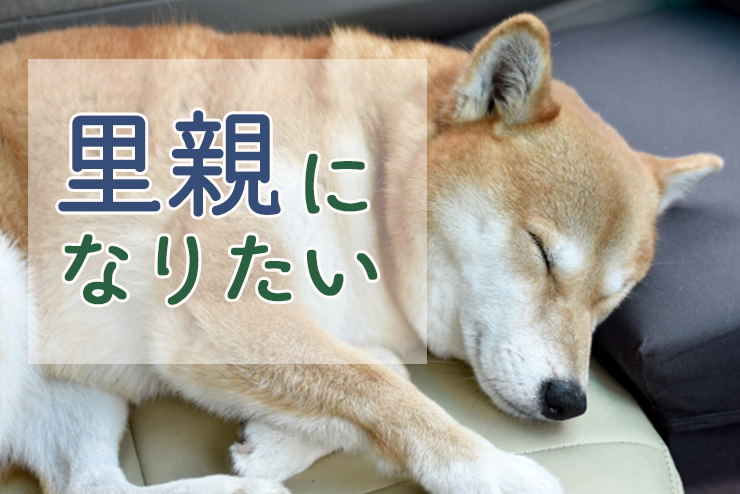 電子 マウント 雄弁 犬 ジモティ Actsquare Jp